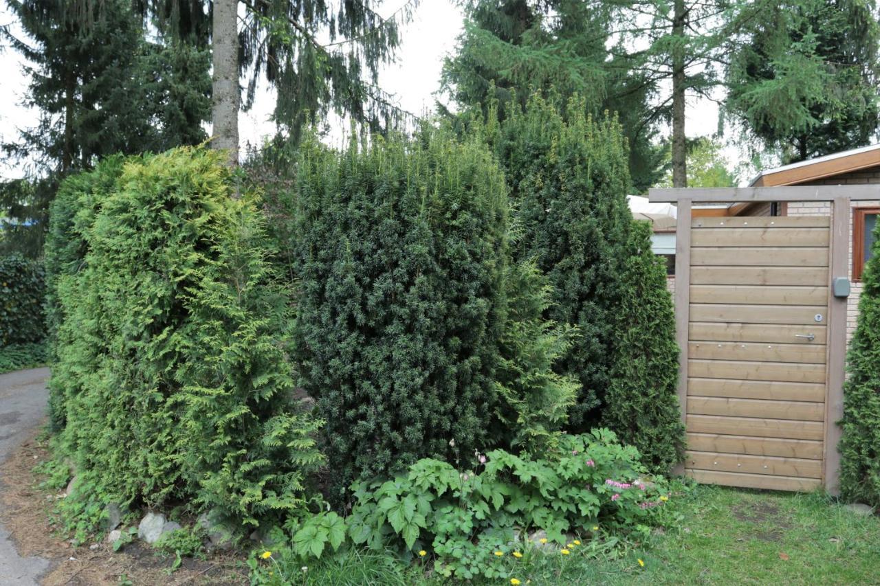 Veluwehuisje Speulderbos Villa Putten Exterior foto